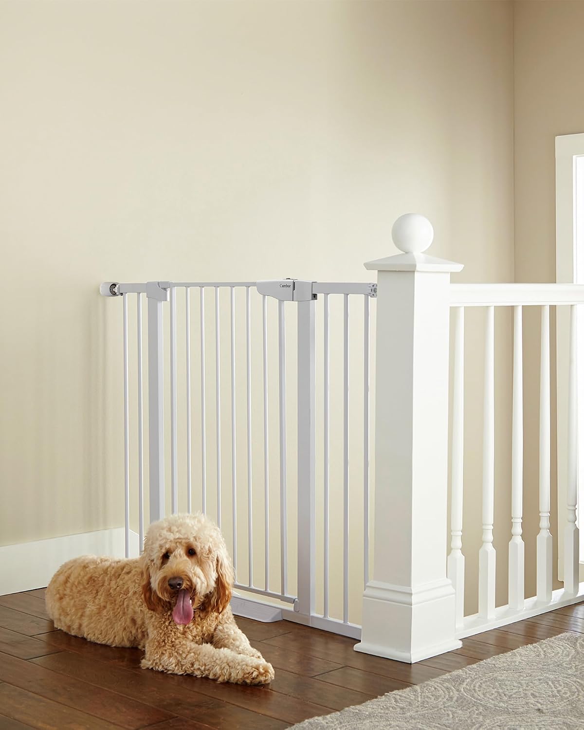 Cumbor 30-46" Baby Gate for Stairs, Mom's Choice Awards Winner-Auto Close Dog Gate for The House, Gifts for Mom, Easy Install Pressure Mounted Pet Gates for Doorways, Black