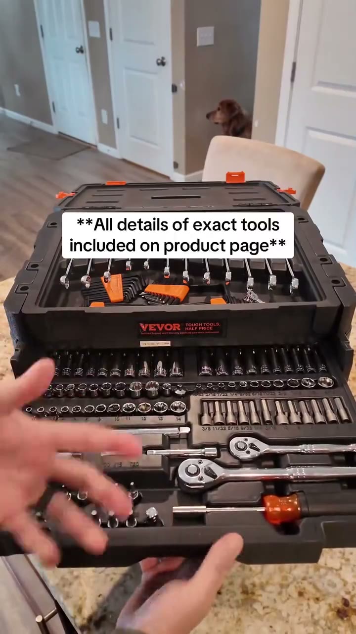 VEVOR 450-Piece SAE and Metric Mechanics Tool and Socket Set detail 5