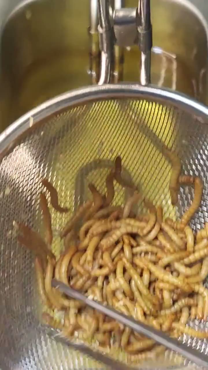 Premium Non-GMO Dried Mealworms for Backyard Chickens detail 2